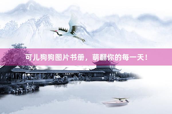 可儿狗狗图片书册，萌翻你的每一天！