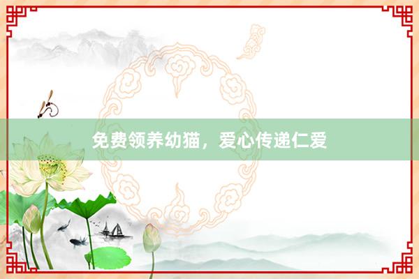 免费领养幼猫，爱心传递仁爱